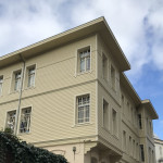 Vasib Profile Picture